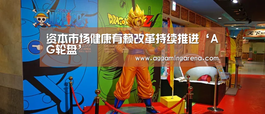 资本市场健康有赖改革持续推进‘AG轮盘’(图3) AG互动