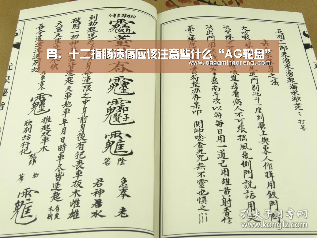 AG龙虎