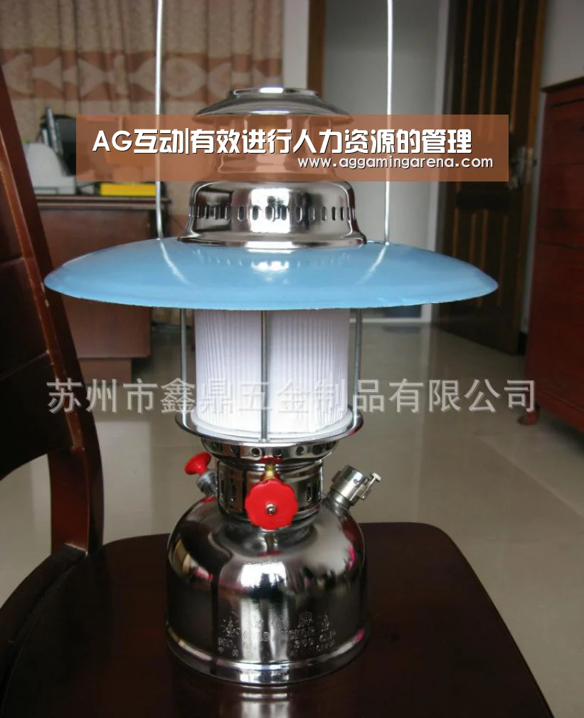 AG互动|有效进行人力资源的管理(图1) AG轮盘