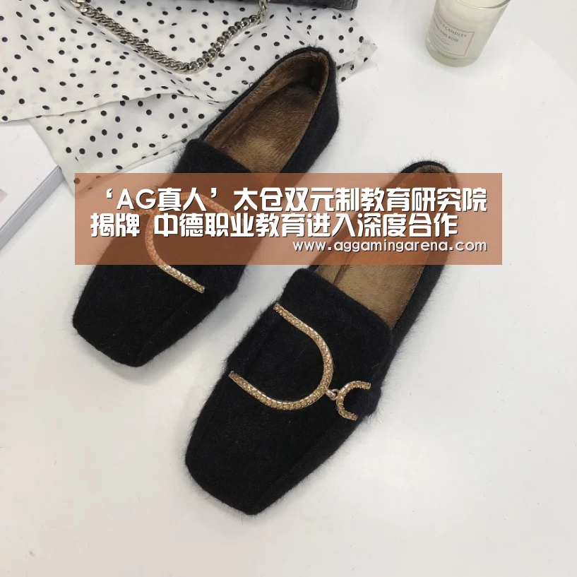 ‘AG真人’太仓双元制教育研究院揭牌 中德职业教育进入深度合作(图2) AG互动
