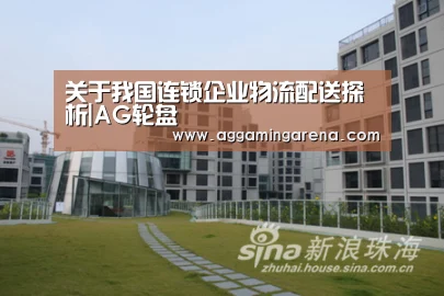 关于我国连锁企业物流配送探析|AG轮盘(图1) AG轮盘