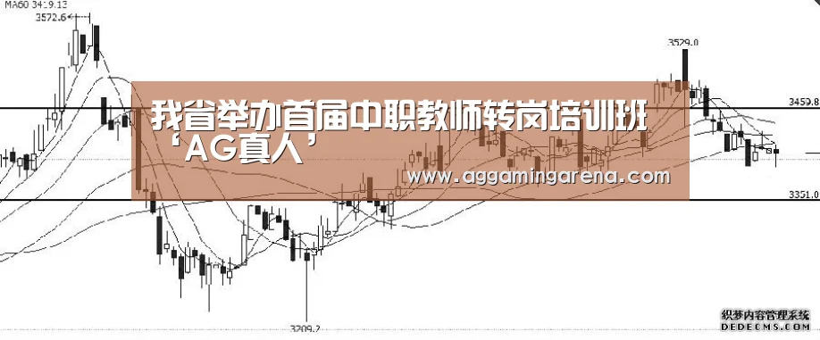 AG龙虎