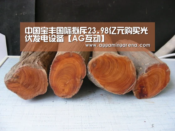 AG龙虎