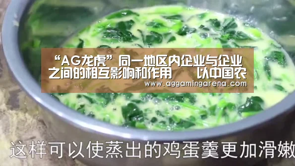 AG龙虎