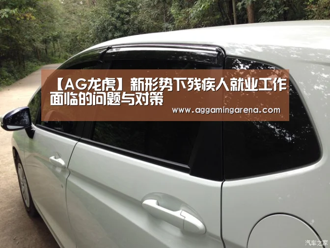 【AG龙虎】新形势下残疾人就业工作面临的问题与对策(图1) AG龙虎
