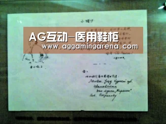 AG互动-医用鞋柜(图1) AG真人