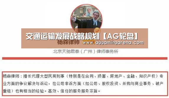 交通运输发展战略规划【AG轮盘】(图1) AG轮盘