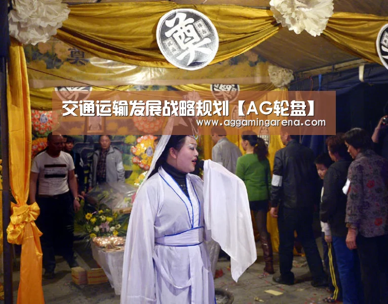 交通运输发展战略规划【AG轮盘】(图3) AG互动