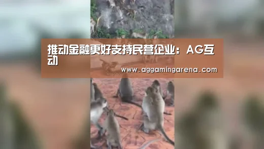 推动金融更好支持民营企业:AG互动(图1) AG真人