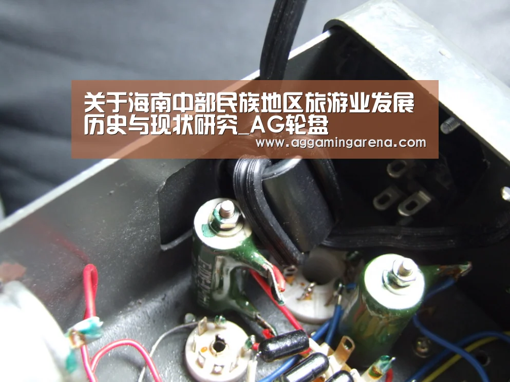 关于海南中部民族地区旅游业发展历史与现状研究_AG轮盘(图3) AG龙虎