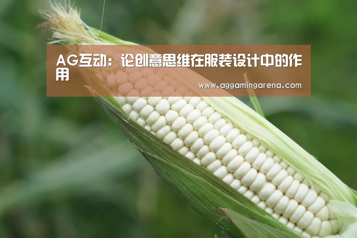 AG互动:论创意思维在服装设计中的作用(图2) AG真人