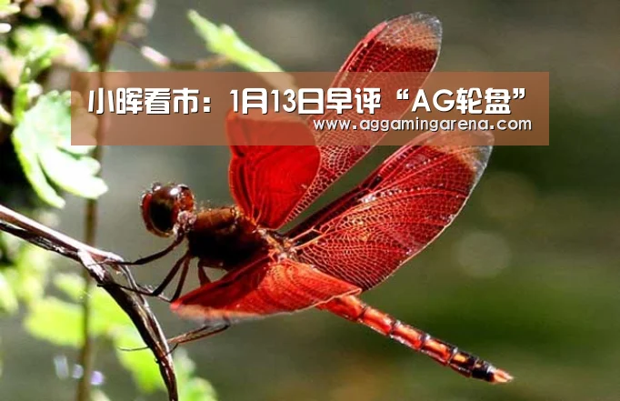 小晖看市:1月13日早评“AG轮盘”(图1) AG龙虎