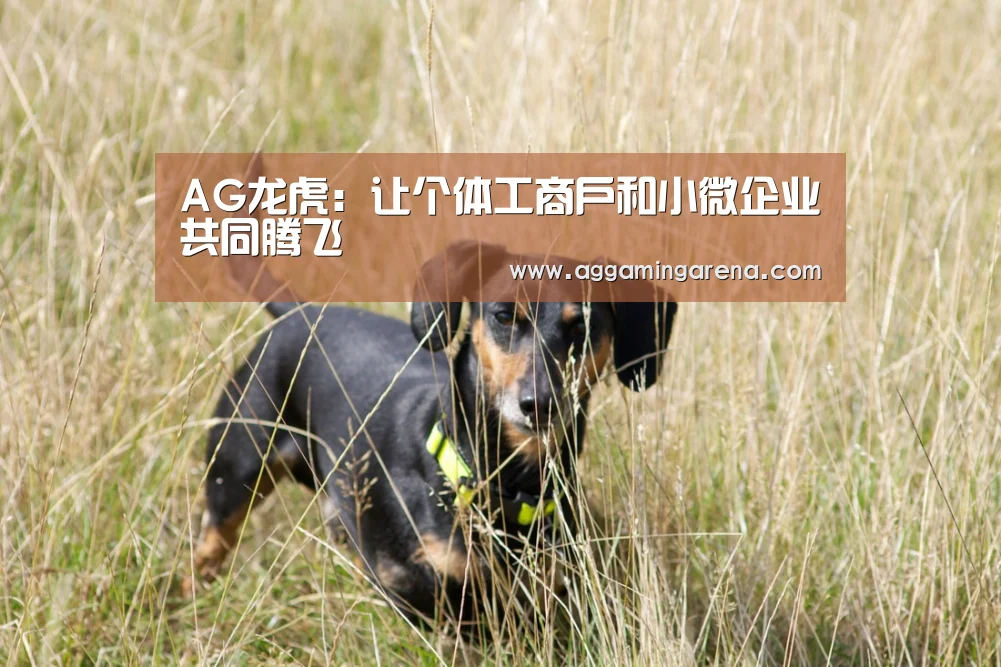 AG龙虎:让个体工商户和小微企业共同腾飞(图3) AG龙虎