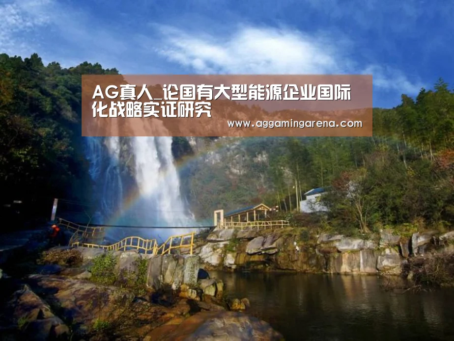 AG真人_论国有大型能源企业国际化战略实证研究(图2) AG龙虎