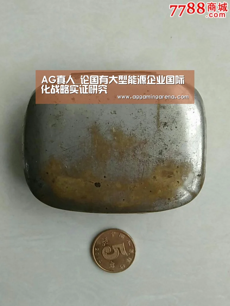 AG真人_论国有大型能源企业国际化战略实证研究(图4) AG互动