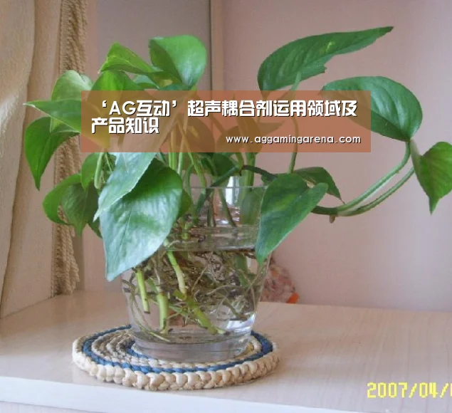 ‘AG互动’超声耦合剂运用领域及产品知识(图2) AG龙虎