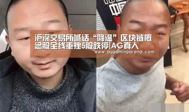 沪深交易所喊话“降温”区块链概念股全线重挫5股跌停|AG真人(图1) AG龙虎