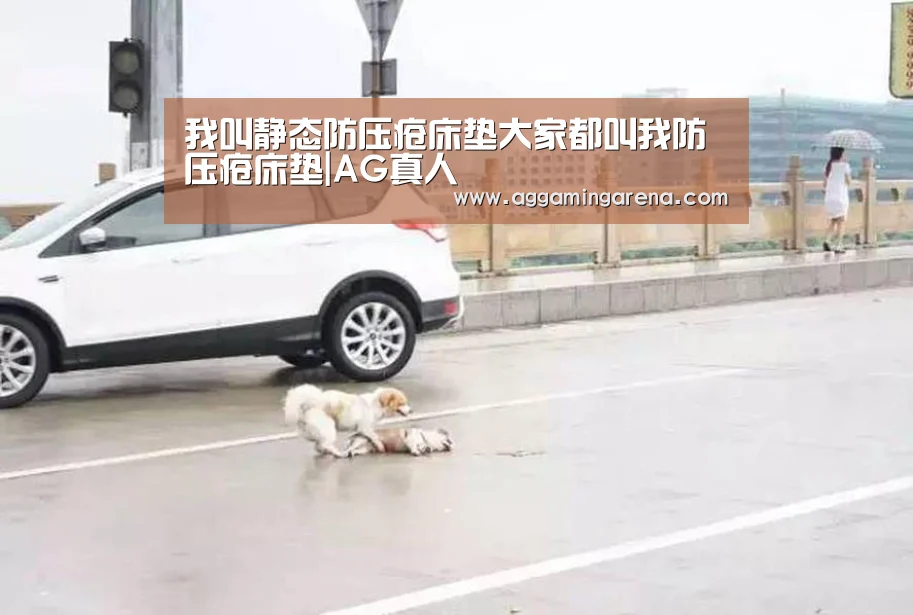 AG轮盘